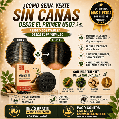 ✨OFERTA RELAMPAGO✨ Shampoo Cubre canas - Recupera el color Natural